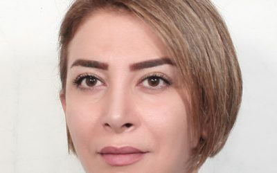 Meet the Team. Interview with Postdoctoral Fellow Ghazaal Sheikhi